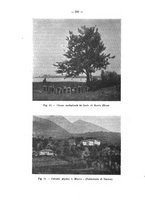 giornale/RML0024275/1914-1915/unico/00000364