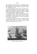 giornale/RML0024275/1914-1915/unico/00000393