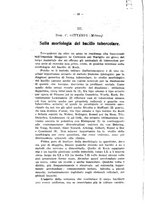 giornale/RML0024275/1916-1917/unico/00000146