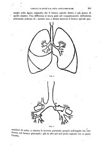 Tubercolosi giornale di studi e di lotta antitubercolare