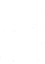 giornale/RML0024275/1924/unico/00000018