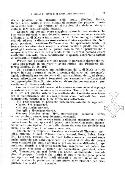 Tubercolosi giornale di studi e di lotta antitubercolare