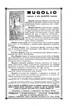 giornale/RML0024275/1927/unico/00000385