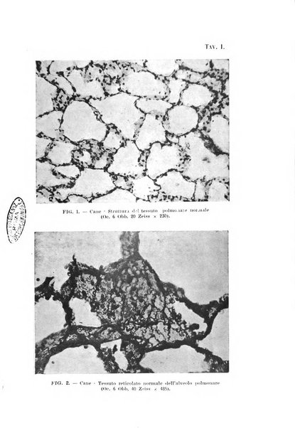 Tubercolosi giornale di studi e di lotta antitubercolare