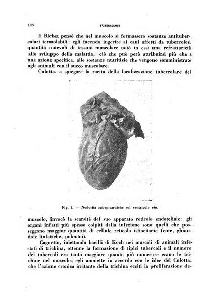 Tubercolosi giornale di studi e di lotta antitubercolare