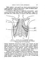 giornale/RML0024275/1941/unico/00000319