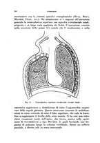 giornale/RML0024275/1941/unico/00000324