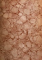 giornale/RML0024367/1906/unico/00000003