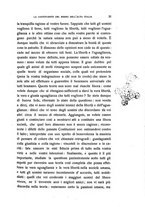 giornale/RML0024367/1911/unico/00000029