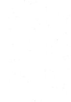 giornale/RML0024367/1918/unico/00000004