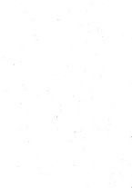 giornale/RML0024367/1918/unico/00000008