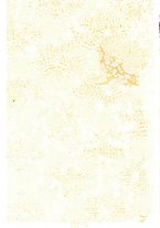 giornale/RML0024367/1921/unico/00000003