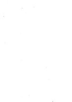 giornale/RML0024367/1921/unico/00000089