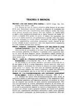 giornale/RML0024396/1933/v.1/00000068
