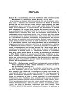 giornale/RML0024396/1937/unico/00000105