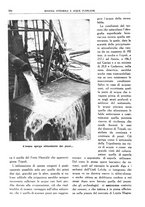 giornale/RML0024403/1934/unico/00000372