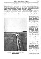 giornale/RML0024403/1934/unico/00000375
