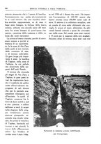 giornale/RML0024403/1934/unico/00000378