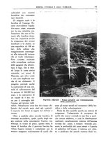 giornale/RML0024403/1934/unico/00000379