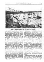 giornale/RML0024403/1934/unico/00000425