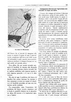 giornale/RML0024403/1934/unico/00000427