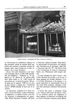 giornale/RML0024403/1934/unico/00000561