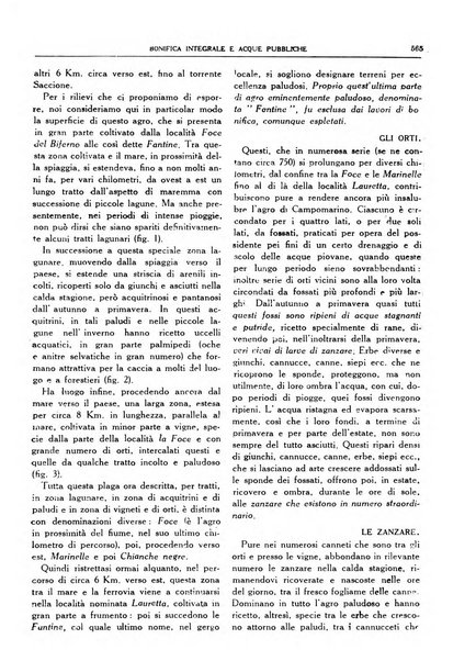 Bonifica integrale e acque pubbliche rivista mensile