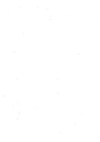 giornale/RML0024505/1908/v.1/00000004