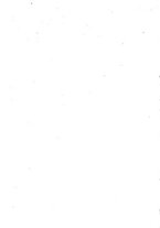 giornale/RML0024505/1908/v.1/00000006