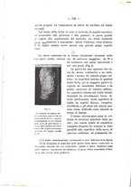 giornale/RML0024505/1909/v.2/00000146