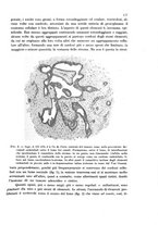 giornale/RML0024505/1909/v.2/00000189