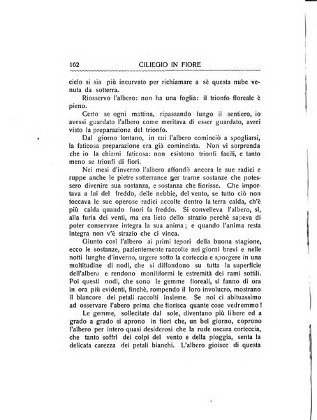 Malta letteraria rassegna mensile di lettere, scienze ed arti