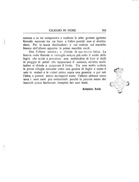 Malta letteraria rassegna mensile di lettere, scienze ed arti