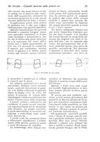 giornale/RML0024683/1926/unico/00000033