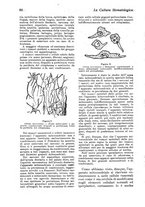 giornale/RML0024683/1926/unico/00000084