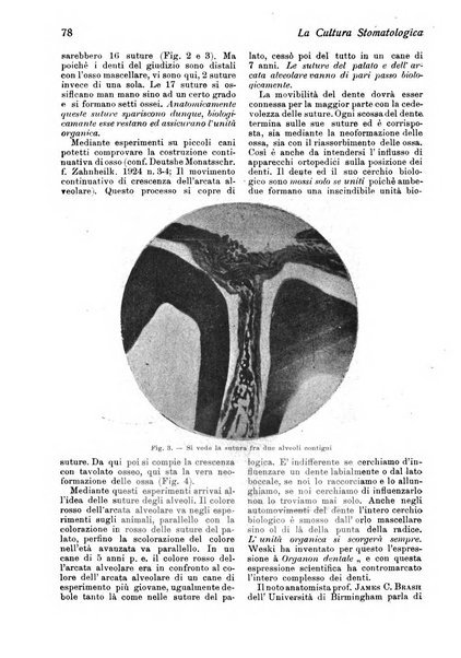 La cultura stomatologica rassegna mensile di scienza, arte, storia e problemi professionali