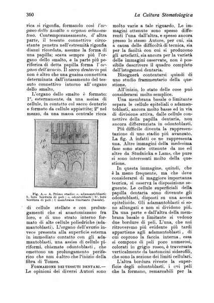 La cultura stomatologica rassegna mensile di scienza, arte, storia e problemi professionali