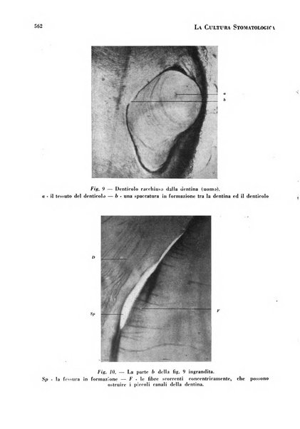 La cultura stomatologica rassegna mensile di scienza, arte, storia e problemi professionali