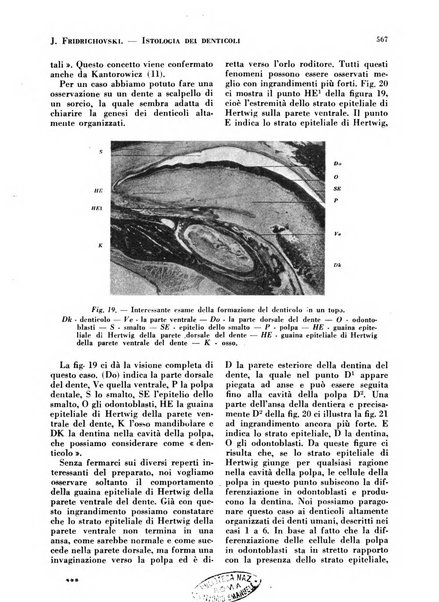 La cultura stomatologica rassegna mensile di scienza, arte, storia e problemi professionali