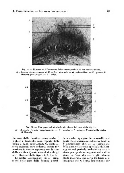 La cultura stomatologica rassegna mensile di scienza, arte, storia e problemi professionali