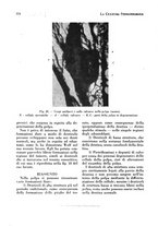 giornale/RML0024683/1927/unico/00000586