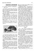 giornale/RML0024683/1928/unico/00000105