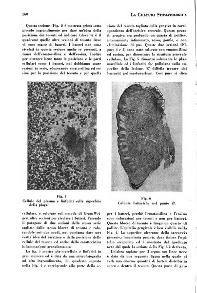 La cultura stomatologica rassegna mensile di scienza, arte, storia e problemi professionali