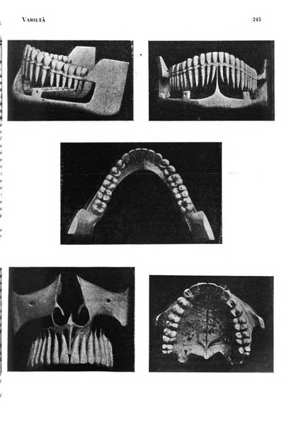 La cultura stomatologica rassegna mensile di scienza, arte, storia e problemi professionali