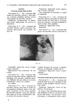 giornale/RML0024683/1928/unico/00001007