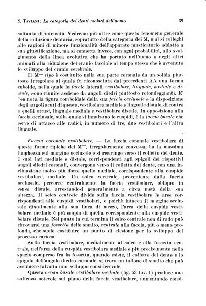 La cultura stomatologica rassegna mensile di scienza, arte, storia e problemi professionali