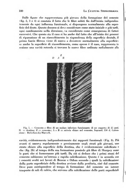 La cultura stomatologica rassegna mensile di scienza, arte, storia e problemi professionali