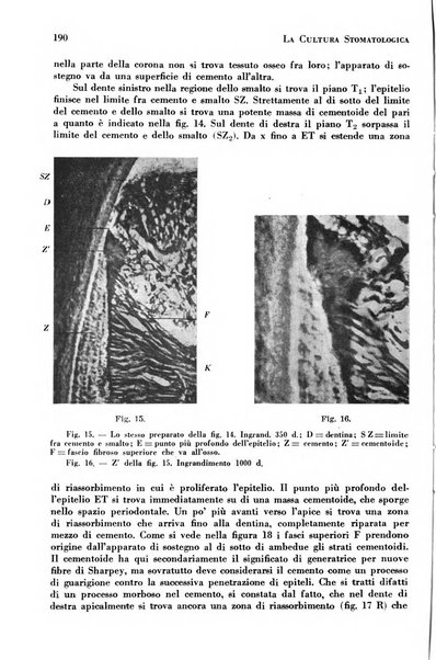 La cultura stomatologica rassegna mensile di scienza, arte, storia e problemi professionali