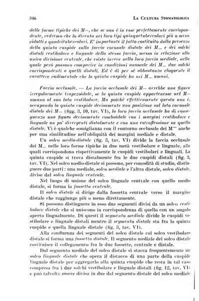 La cultura stomatologica rassegna mensile di scienza, arte, storia e problemi professionali