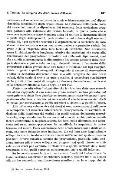 La cultura stomatologica rassegna mensile di scienza, arte, storia e problemi professionali